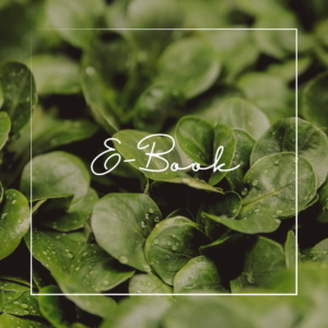 Feelgood Food E-Book